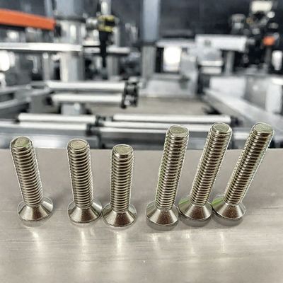 스테인리스 스틸 원형 평면 머리 토크스 나사 기계 자기 탭 나사 전체 스레드 M3 M10
