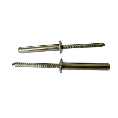 DIN 표준 부패 저항 폐쇄 끝 스테인레스 스틸 둥근 머리 블라인드 리베트