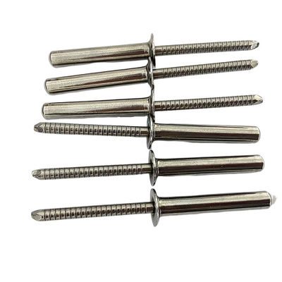 날씨에 견고한 스테인레스 스틸 반 침몰 블라인드 리베트