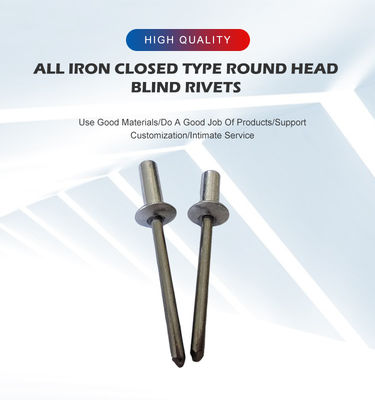밀폐 끝 모든 철 닫힌 끝 둥근 머리 블라인드 리베트 경쟁력있는 가격