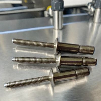 DIN 표준 잠금형 블라인드 리빗 OEM ODM 원형 헤드 반관통 리빗 스틸