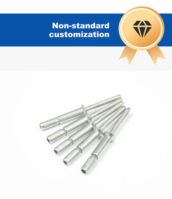 은색 스테인리스 스틸 304 모든 철강 오픈 타입 블라인드 리빗 4.8 6.4mm 및 성능