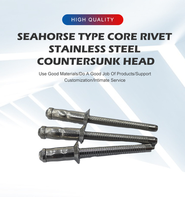 2024 Multigrip Blind Rivets 스테인리스 스틸 탄소 스틸 및 더 많은 밝은 마무리