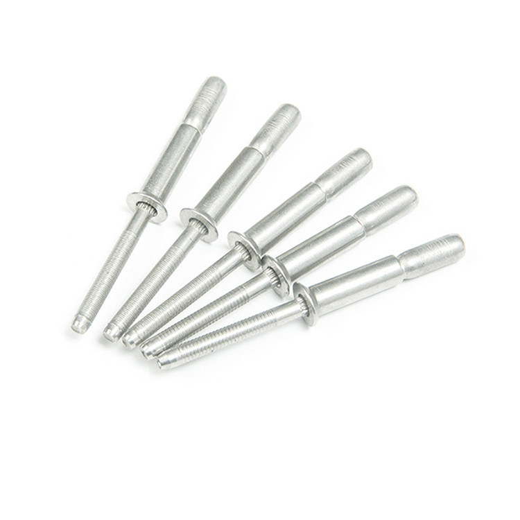 오픈 타입 스테인리스 스틸 브레이크 블라인드 리베트 돔 헤드와 검은색 페인트 줄기